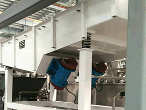 不銹鋼直線振動(dòng)篩面粉篩分現(xiàn)場(chǎng)，產(chǎn)量5t/h